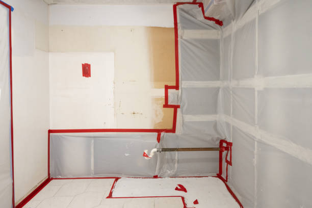 Best Residential Mold Inspection & Testing  in Peosta, IA