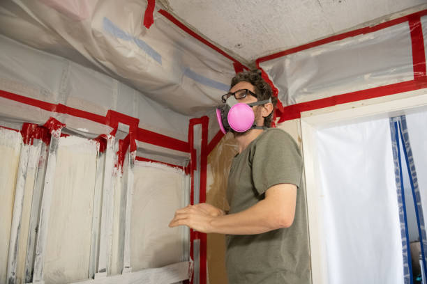 Best Dehumidification Services  in Peosta, IA