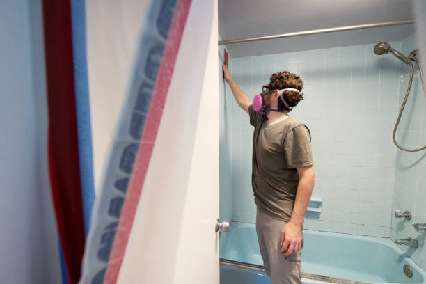 Best Commercial Mold Inspection  in Peosta, IA