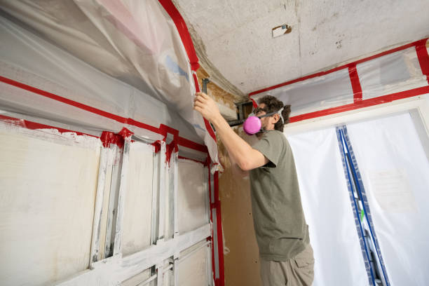 Best Mold Documentation for Insurance Claims  in Peosta, IA