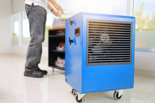 Best Real Estate Mold Inspection  in Peosta, IA
